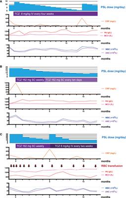 Case Report: Tocilizumab Treatment for VEXAS Syndrome With Relapsing Polychondritis: A Single-Center, 1-Year Longitudinal Observational Study In Japan